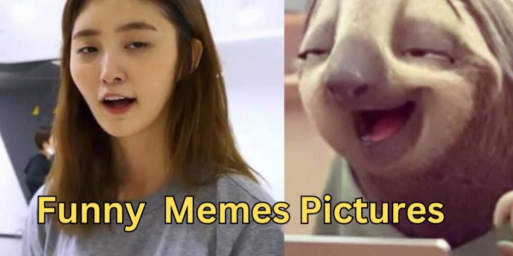 Funny Memes Pictures