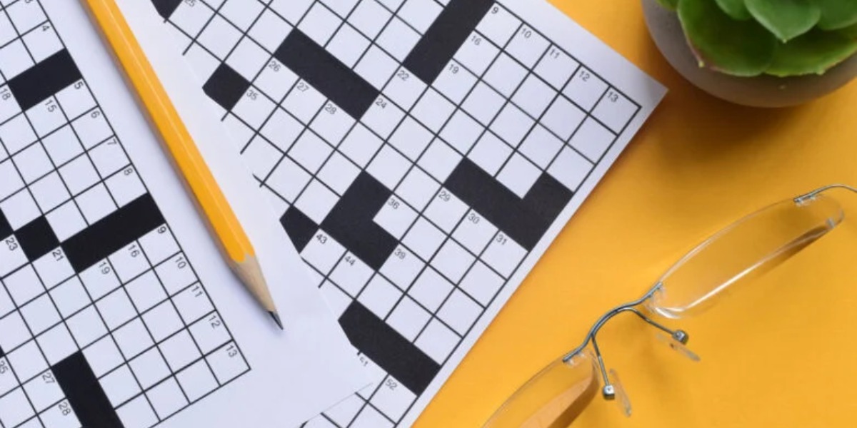 Computer Device Crossword Clue