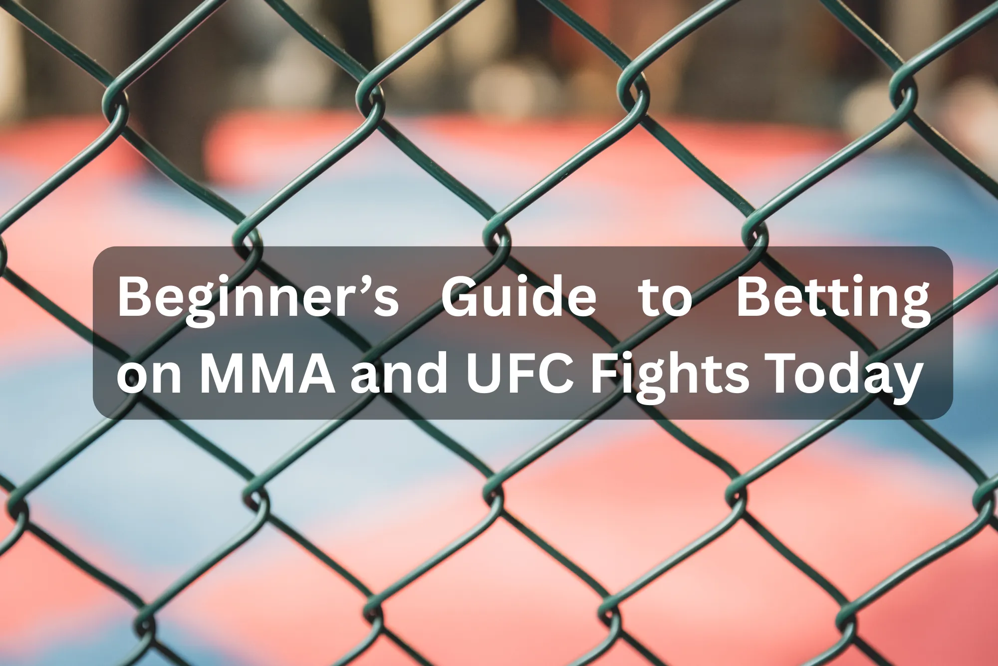 Betting on MMA and UFC Fights