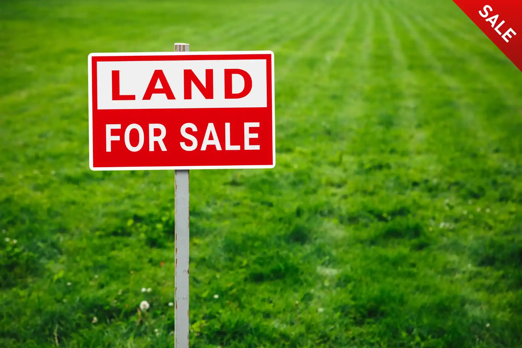 Best Undeveloped Land for Sale in UAE